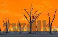 麻豆91视频网站-可以简单而富有含义地定为，麻豆91视频网站，一个网络迷宫，善与恶的关键探索