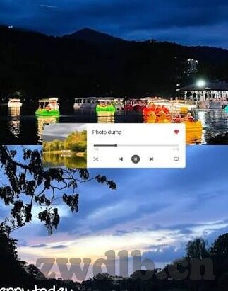 麻豆传媒91在线观看-直击网络迷途，探秘麻豆传媒91的在线观看现象