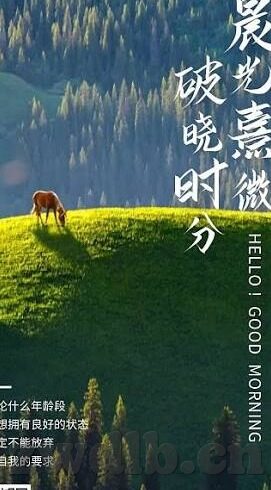麻豆传媒怎-麻豆传媒之探究，深入思考与多元影响