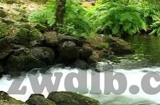 糖心vlog官网版下载-探索生活乐趣，解锁糖心Vlog官网版的独特魅力