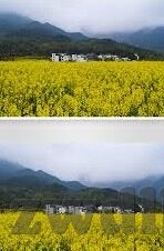 糖心vlog小桃视频-糖心vlog小桃视频，窥探生活碎片背后的真实与感动