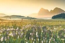 糖心直播app下载污-探索盛夏娱乐的脉动，从糖心直播App深度体验谈起
